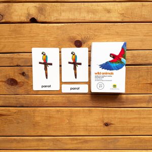 Wild Animals Three Part Educational Cards (English)